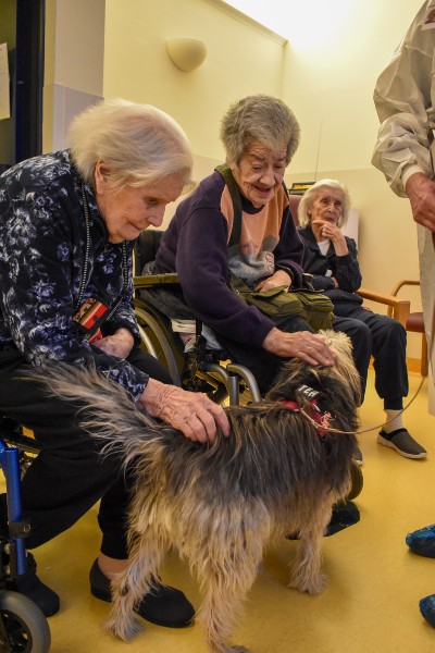 Pet therapy e gli anziani - Orpea